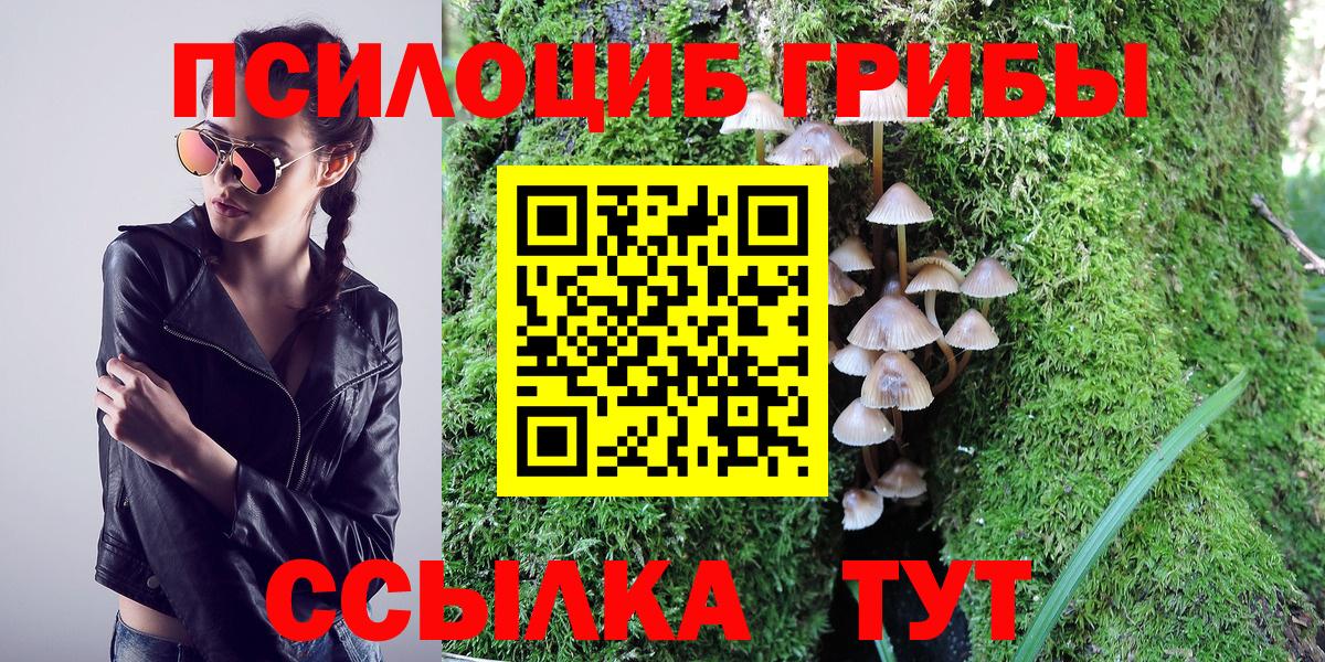 Галлюциногенные грибы GOLDEN TEACHER  Галлюциногенные грибы Psilocybine cubensis  Вход с VPN  Саров 